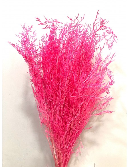 Caspia Preservada Rosa Bubblegum 70cm
