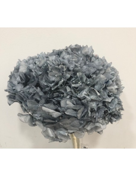 Hortensia Preservada Azul/Gris 20cm