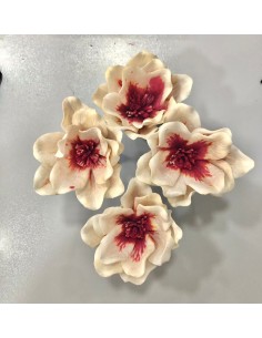 Flor Shola Magnolia Blanco/Coral 13cm x4und + Alambre