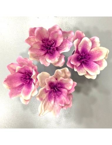 Flor Shola Magnolia Malva Bicolor 13cm x4und +...