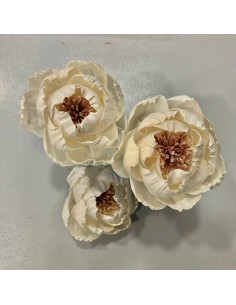 Flor Shola Peonia Blanco 10cm x8und + Alambre