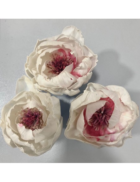Flor Shola Peonia Blanco/Coral 10cm x8und + Alambre