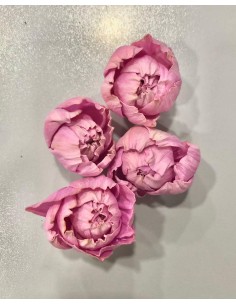 Flor Shola Peonia Malva Mini 5cm x18und + Alambre