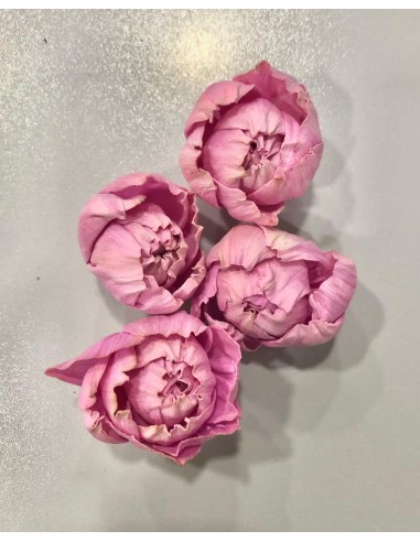 Flor Shola Peonia Malva Mini 5cm x18und + Alambre