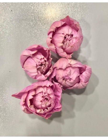 Flor Shola Peonia Malva Mini 5cm x18und + Alambre
