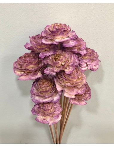 Cedar Rose 40cm Lila