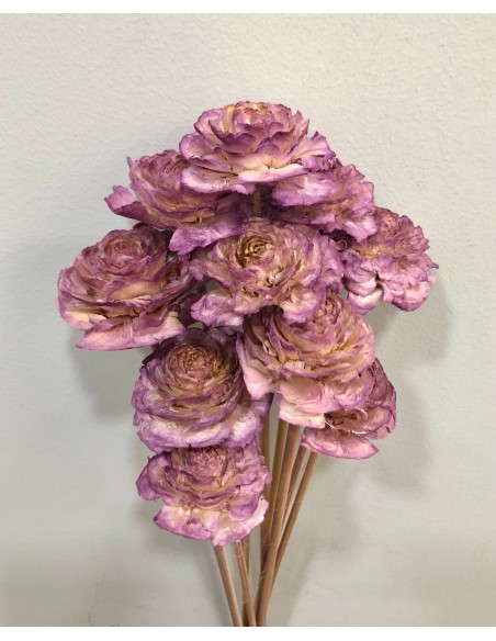 Cedar Rose 40cm Lila