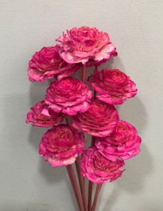 Cedar Rose 40cm Fucsia x10