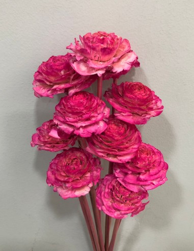 Cedar Rose 40cm Fucsia