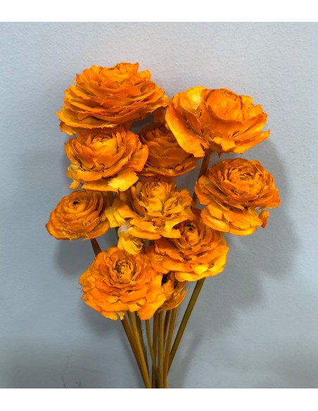 Cedar Rose 40cm Amarillo