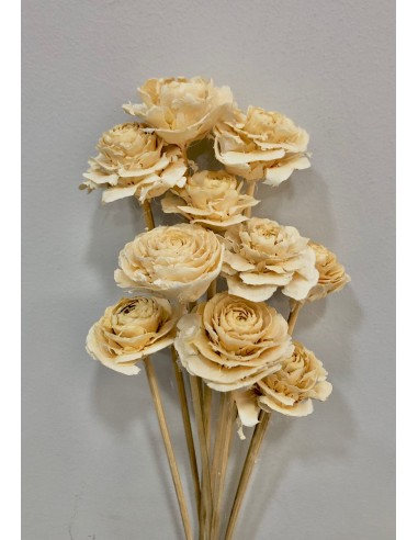 Cedar Rose 40cm Crema x10