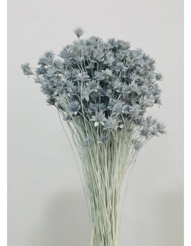 Hill Flowers Azul/Gris 45cm 100g