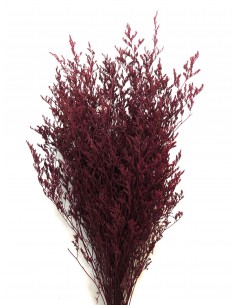 Caspia Preservada Burdeos 70cm