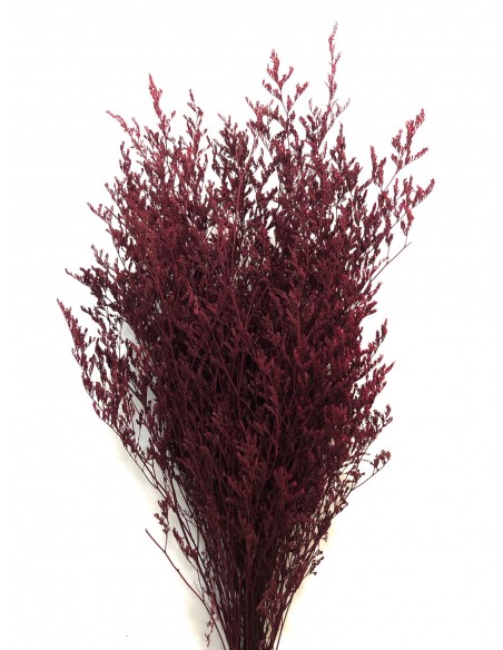 Caspia Preservada Burdeos 70cm