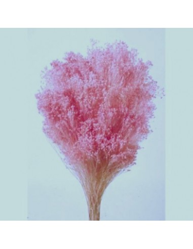 Brooms Blum Seco Rosa 100g