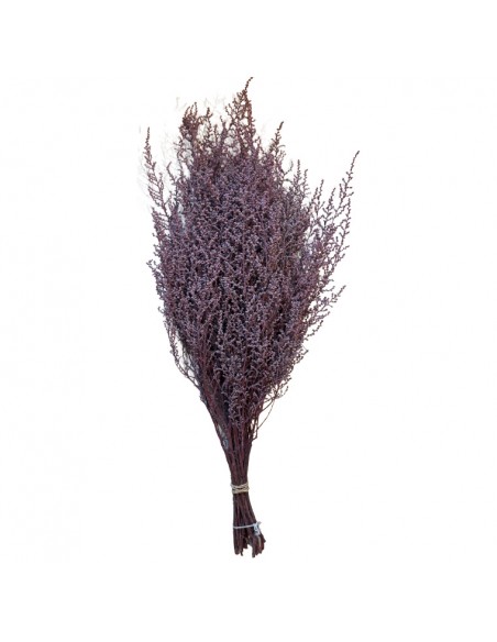 Stoebe preservado Rosa (100g)