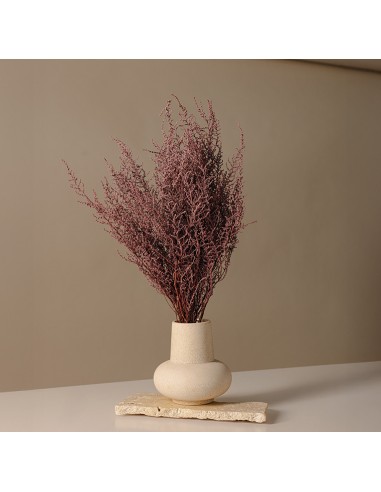 Stoebe preservado Rosa (100g)