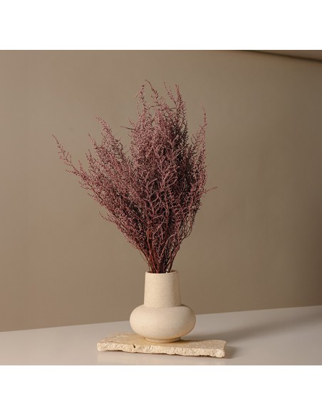 Stoebe preservado Rosa (100g)