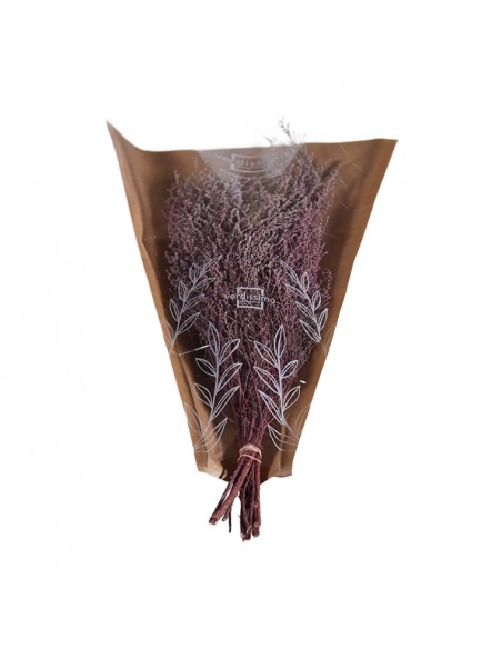 Stoebe preservado Rosa (100g)