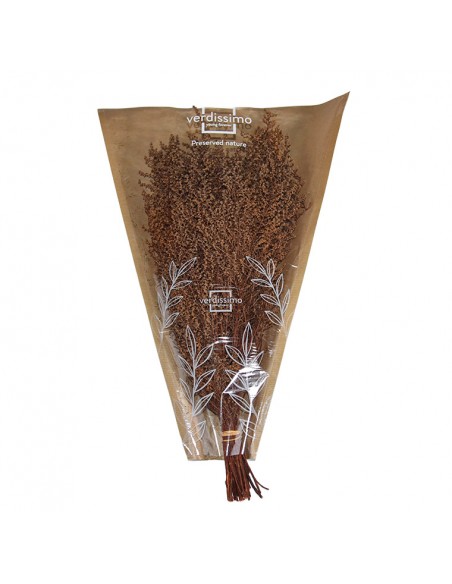 Stoebe preservado Terracotta (100g)