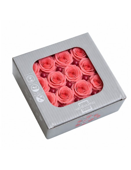 Rosa mini Princes Coral x16 Ø 2,5-3 cm