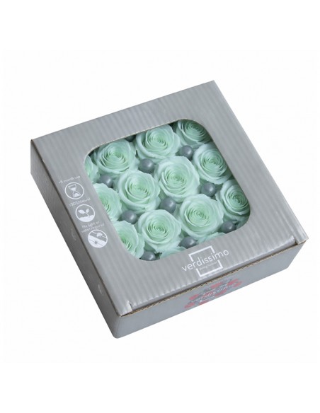 Rosa mini Princes Verde Menta x16 Ø 2,5-3 cm