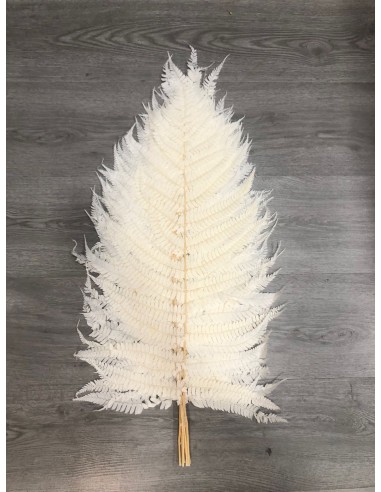 Helecho Fern Blanqueado x10 hojas 60cm