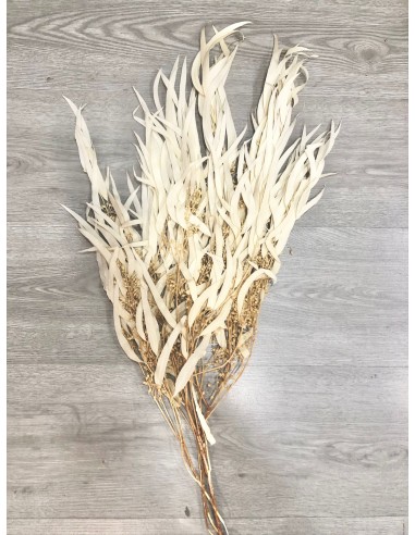 Eucalipto Exótica Crema 80g