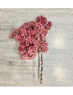 Falsa Pimienta Rosa natural 100g