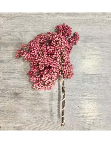 Falsa Pimienta Rosa natural 100g