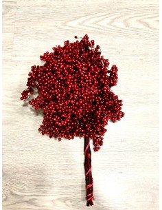 Falsa Pimienta Roja 100g