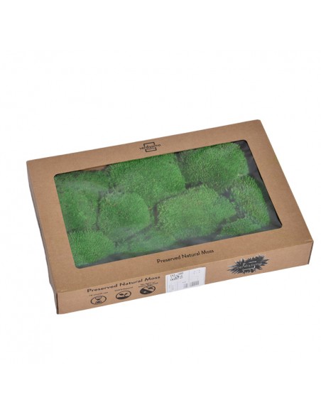 Polemoss vert W-box bola musgo