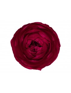 Peonia Preservada Bouganvillea x6und, x6cmØ