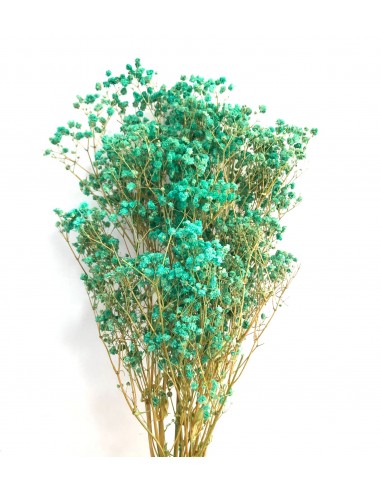 Gypsophila Paniculata Preservada Bola Turquesa...