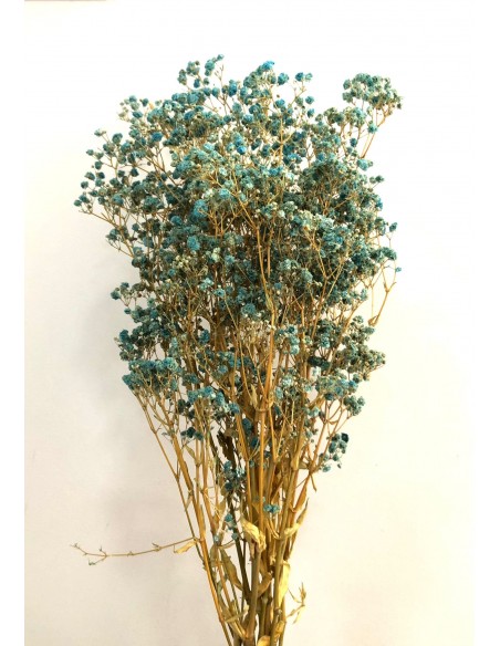 Gypsophila Paniculata Preservada Bola Celeste 60cm 100g