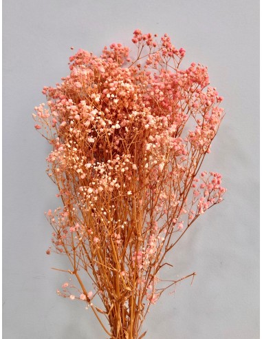 Gypsophila Paniculata Preservada Bola Rosa 60cm