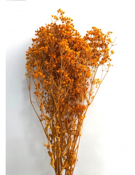Gypsophila Paniculata Preservada Bola Naranja 60cm