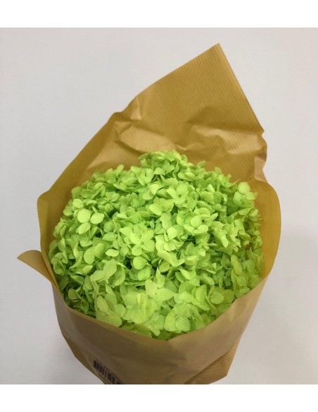 Hortensia preservada  Hoja pequeña Verde pistacho