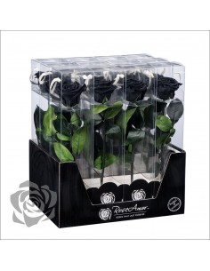 Rosa Preservada Roseamor (XL 7cmØ) Negra