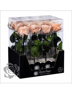 Rosa Preservada Roseamor (XL 7cmØ) Salmón