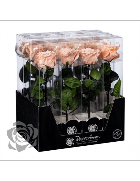 Rosa Preservada Roseamor (XL 7cmØ) Salmón