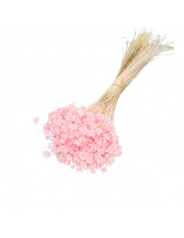 Glixia Rosa claro 50g