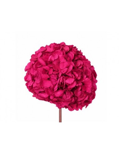 Hortensia Preservada XL Bougainvillea Roseamor