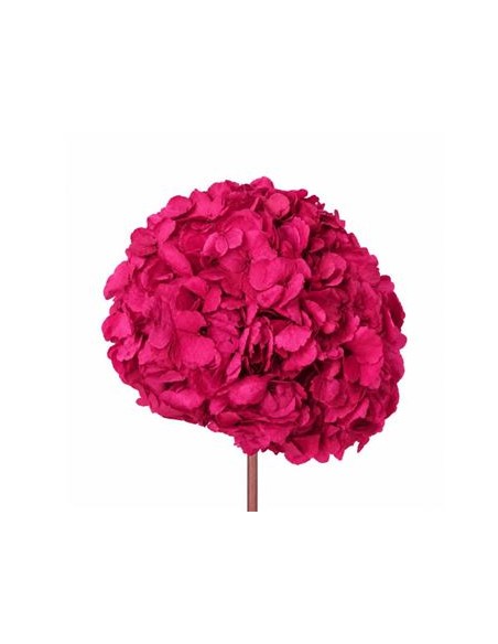 Hortensia Preservada XL Bougainvillea Roseamor