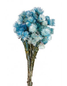 Everlasting Azul