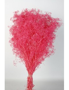 Gypsophila preservada mini ..... 100g