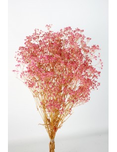 Gypsophila Paniculata Preservada Bola Fucsia 60cm 100g