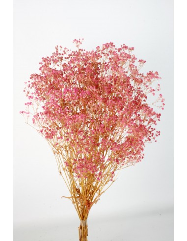Gypsophila Paniculata Preservada Bola Fucsia...