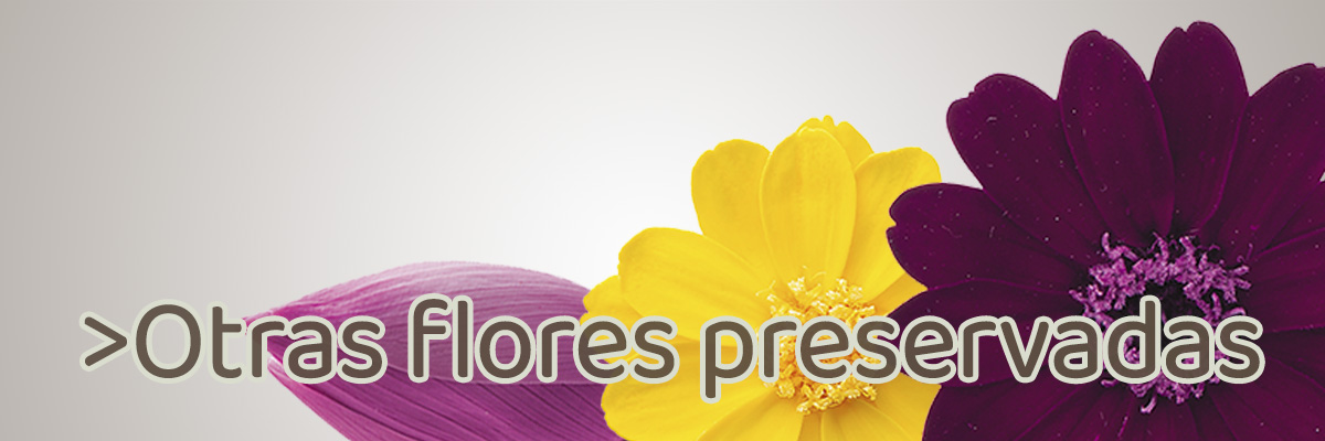 Prohibir planes en casa Artyflor | Distribuidor de productos para floristerías